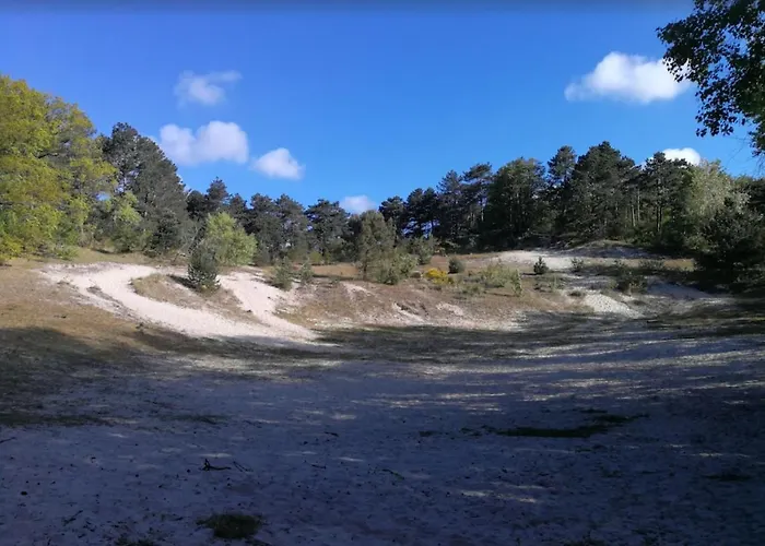 Gasthuis Studio Bergen 3*