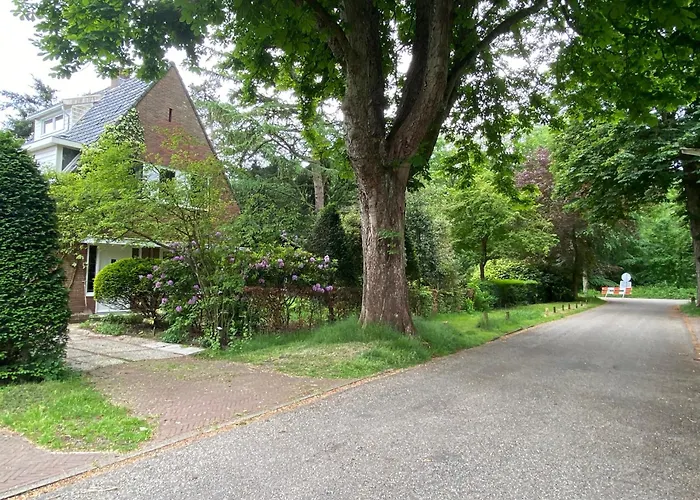 Studio Bergen Gasthuis 3*