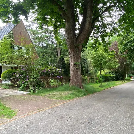 Studio Bergen فندق مبيت وإفطار *